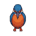 Kingfisher